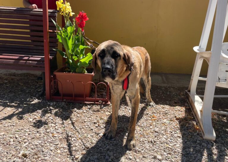 multimedia-foto84490-266-1