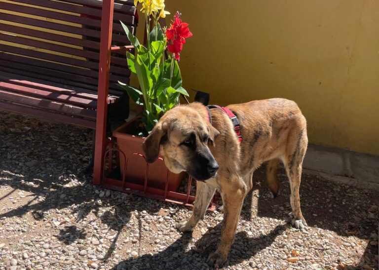 multimedia-foto84492-266-1