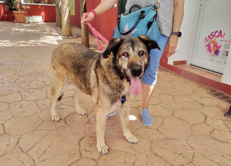 multimedia-foto84493-6-1