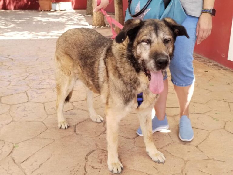 multimedia-foto84494-6-1