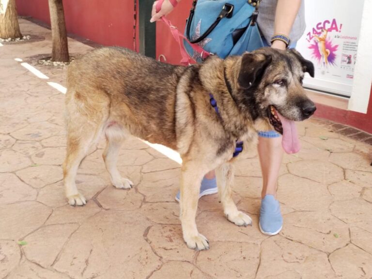 multimedia-foto84495-7-1