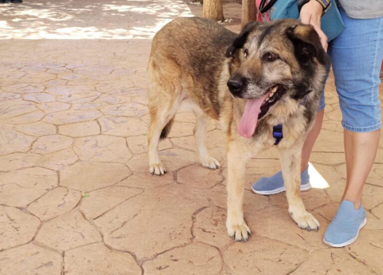 multimedia-foto84496-7-1