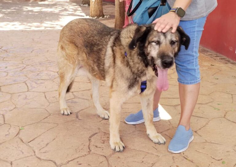 multimedia-foto84497-7-1