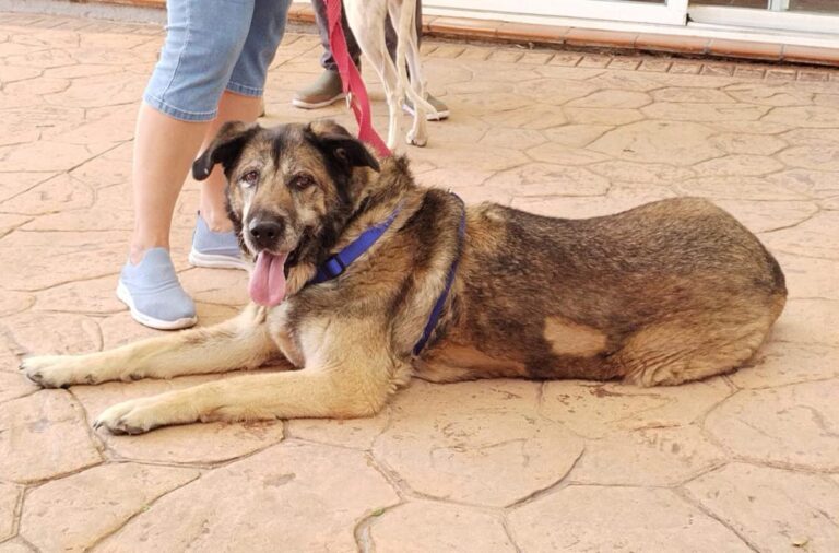 multimedia-foto84498-7-1