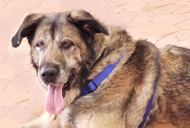 multimedia-foto84499-7-1