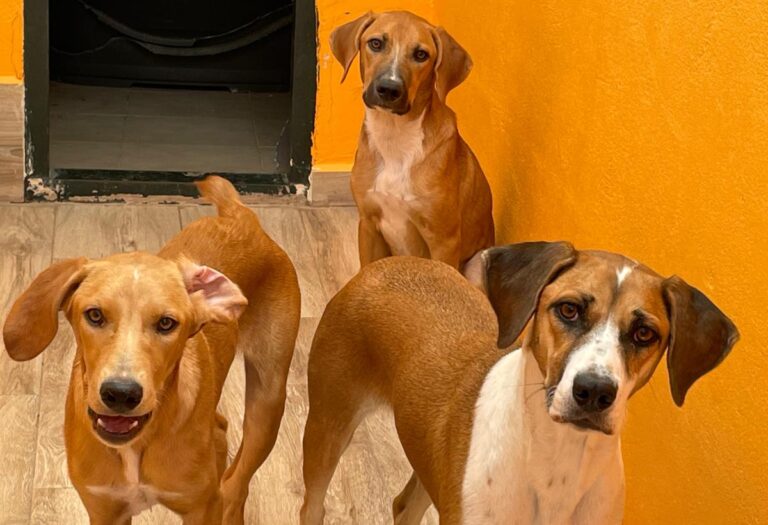 multimedia-foto84501-886-1