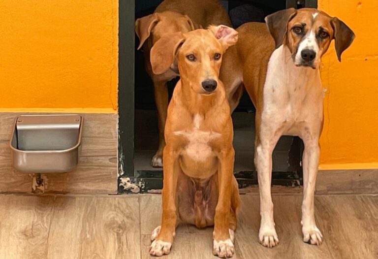 multimedia-foto84502-886-1