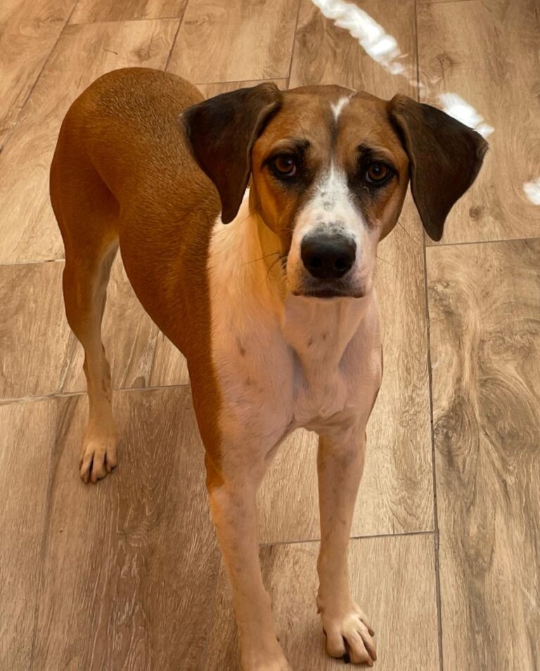 multimedia-foto84503-886-1