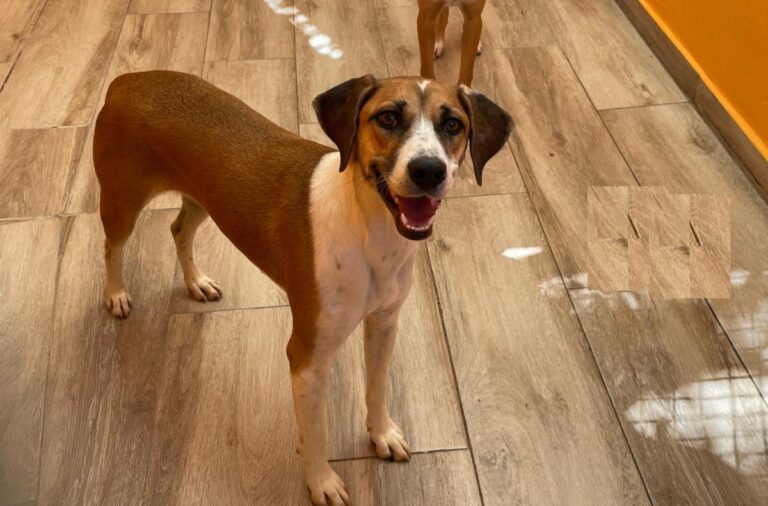 multimedia-foto84504-886-1