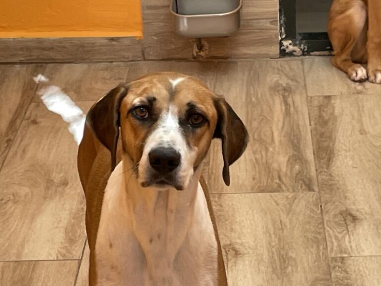 multimedia-foto84505-887-1