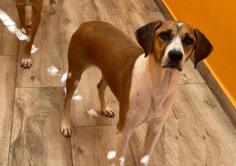 multimedia-foto84506-887-1