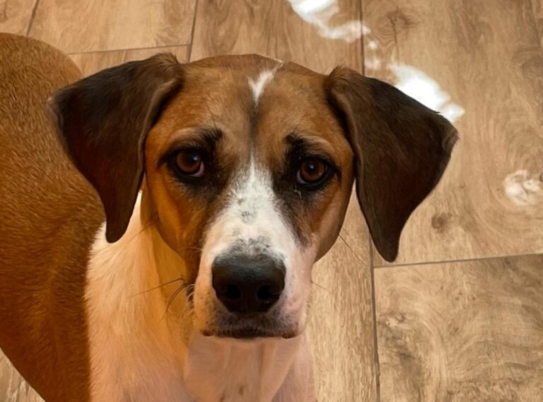 multimedia-foto84507-887-1