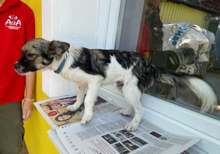 multimedia-foto84546-77-1