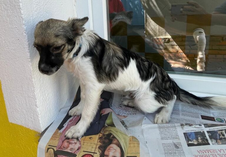 multimedia-foto84551-78-1