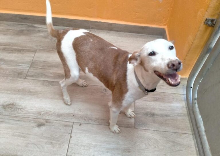 multimedia-foto84584-362-1