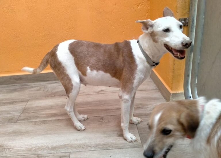 multimedia-foto84586-362-1