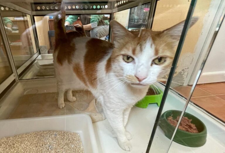 multimedia-foto84599-564-1