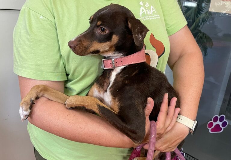 multimedia-foto84603-780-1