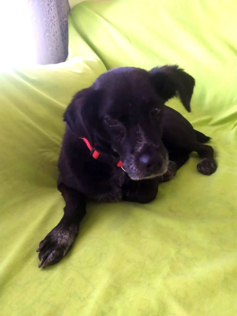 multimedia-foto84617-657-1