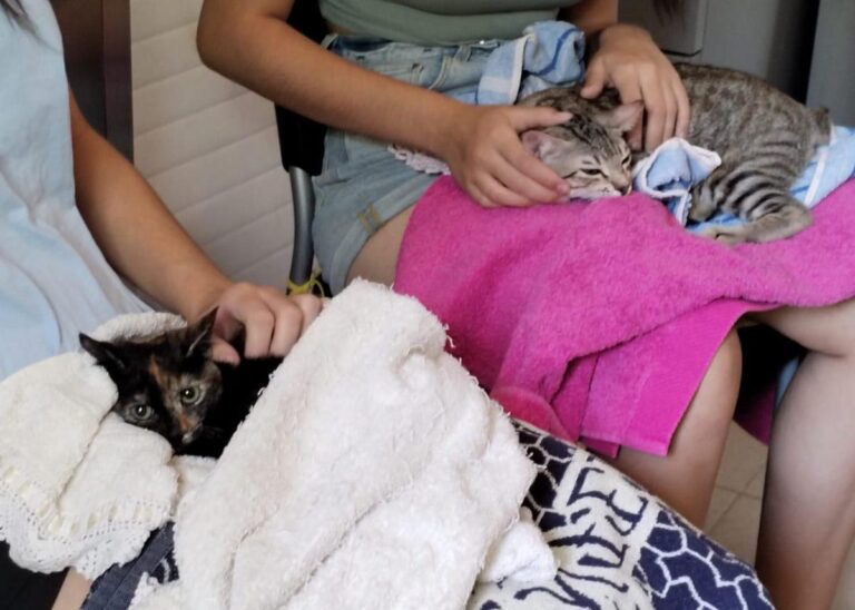 multimedia-foto84622-462-1