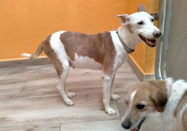 multimedia-foto84629-934-1