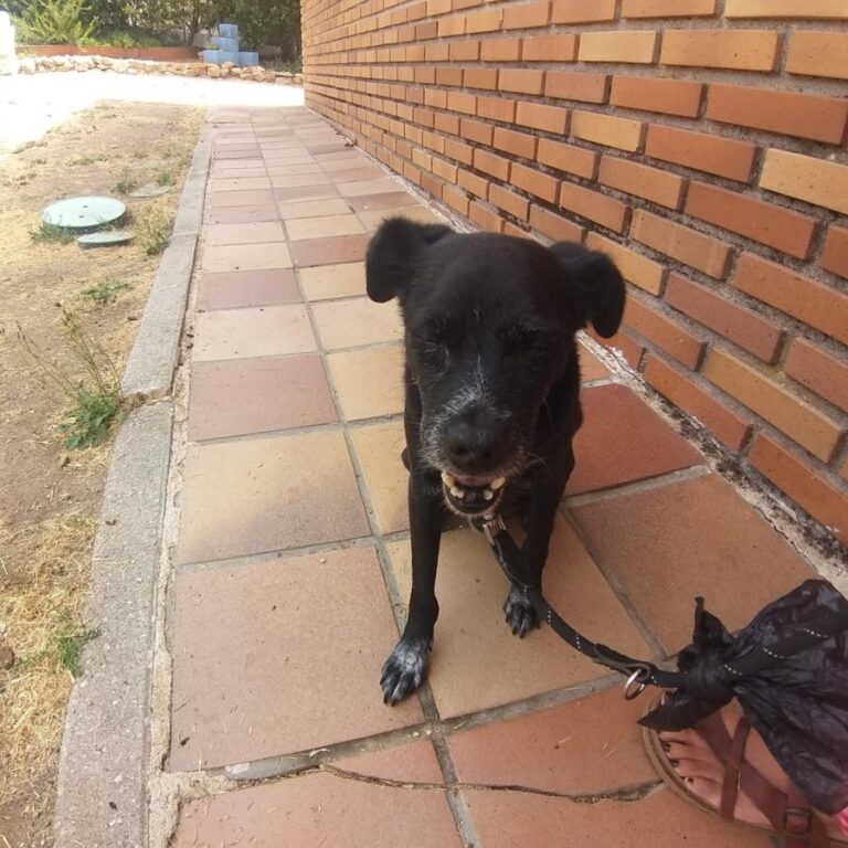 multimedia-foto84650-409-1