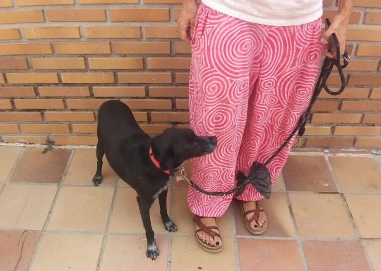 multimedia-foto84651-409-1