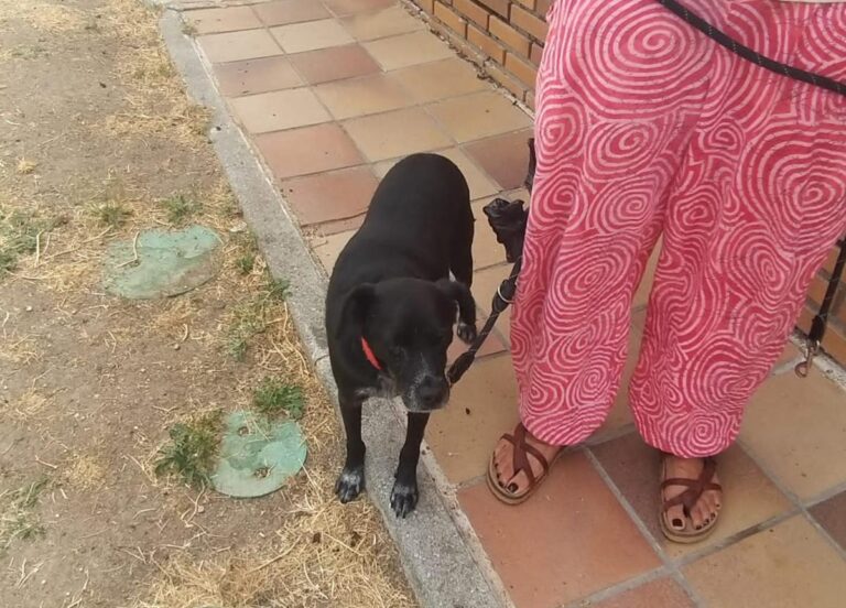 multimedia-foto84652-410-1