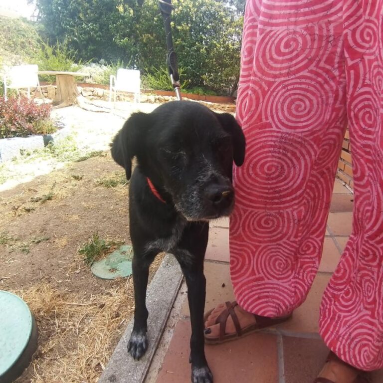 multimedia-foto84653-410-1