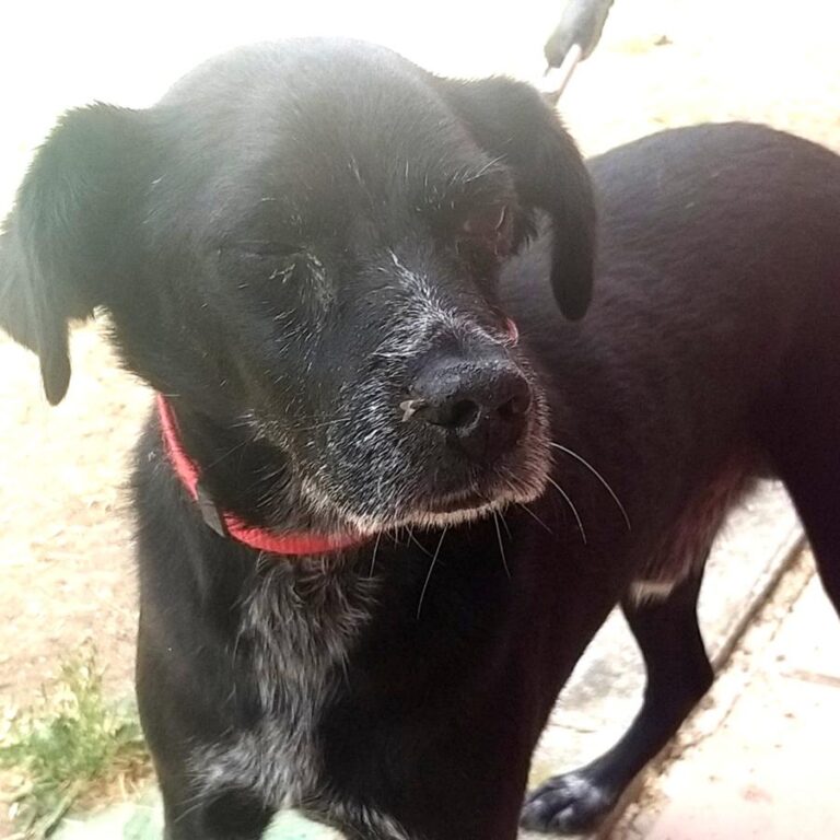 multimedia-foto84654-410-1