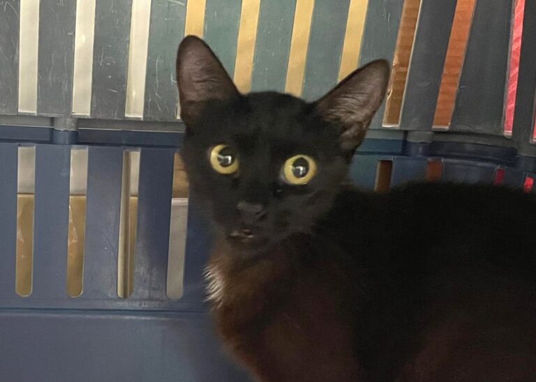 multimedia-foto84677-20-1