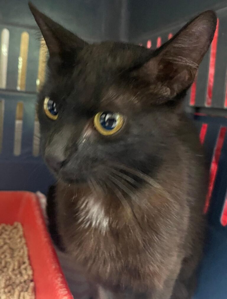 multimedia-foto84679-21-1