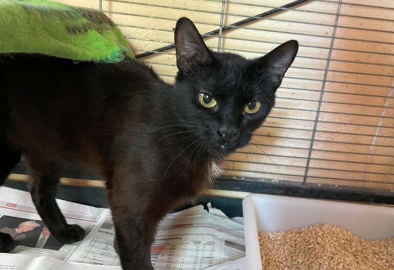 multimedia-foto84681-21-1