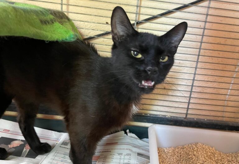 multimedia-foto84682-21-1