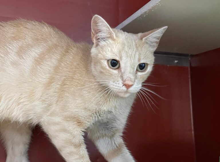 multimedia-foto84687-387-1