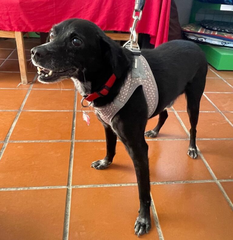 multimedia-foto84698-736-1