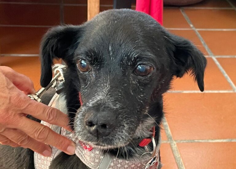 multimedia-foto84701-736-1