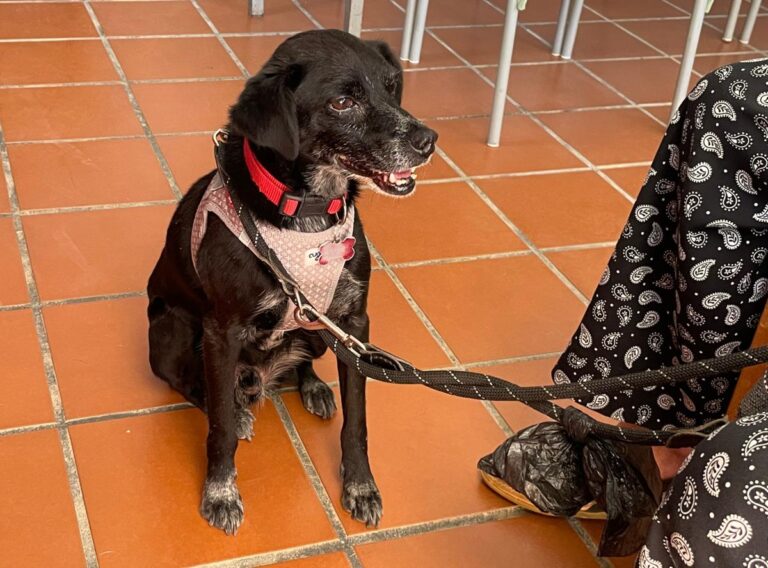 multimedia-foto84703-736-1