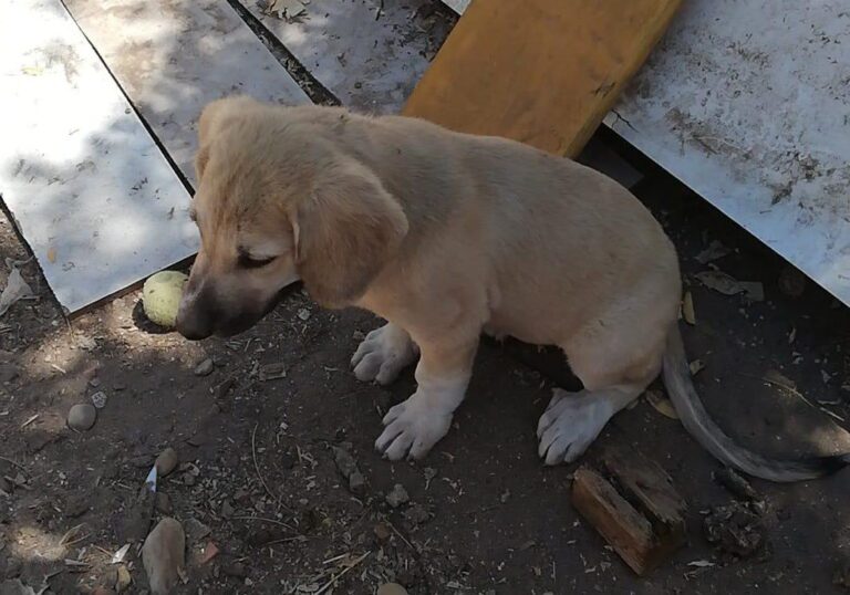 multimedia-foto84706-304-1