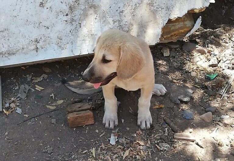 multimedia-foto84707-304-1