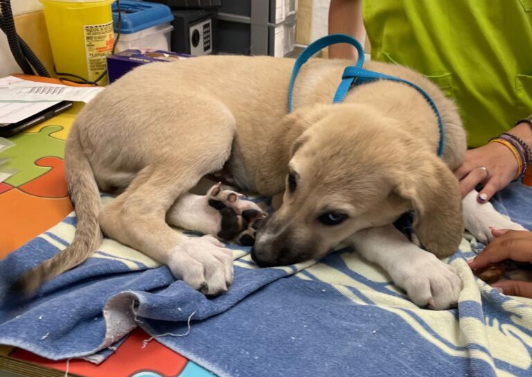 multimedia-foto84709-304-1