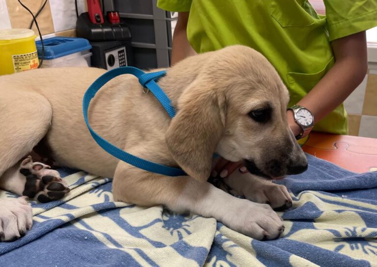 multimedia-foto84710-304-1