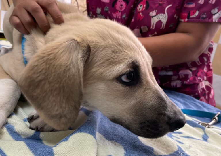 multimedia-foto84711-304-1