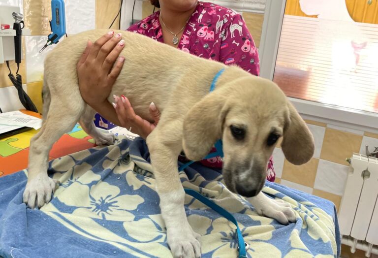 multimedia-foto84712-305-1