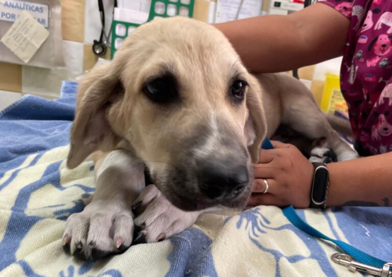 multimedia-foto84714-305-1