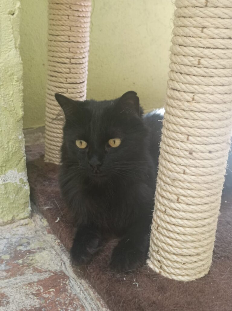 multimedia-foto84715-263-1