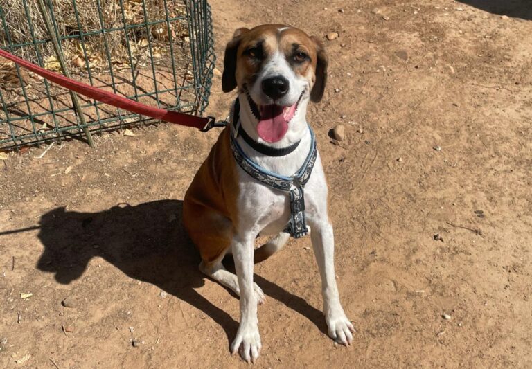 multimedia-foto84717-135-1