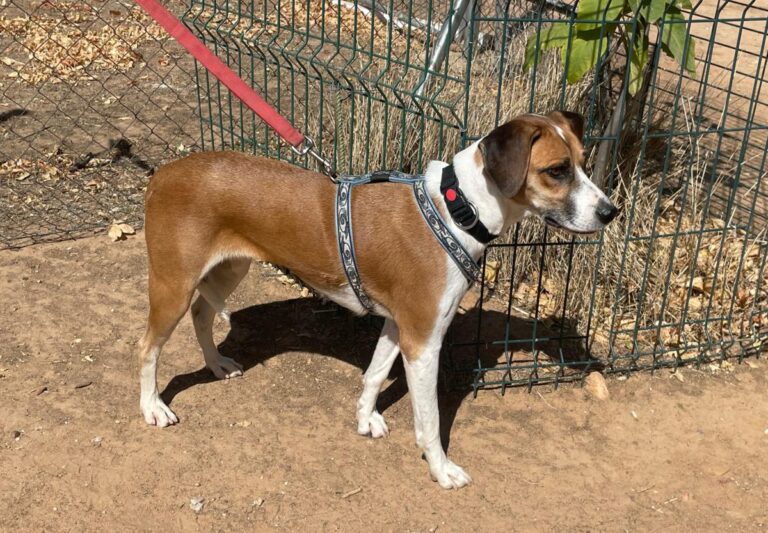 multimedia-foto84718-135-1