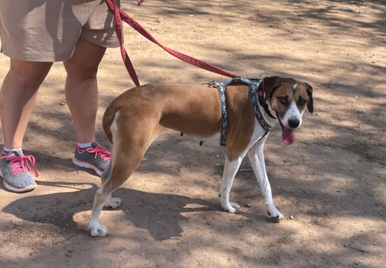 multimedia-foto84719-136-1