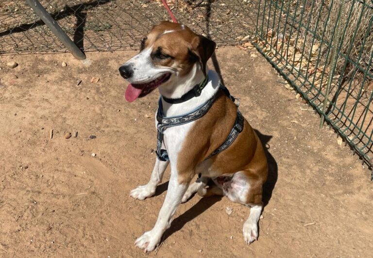 multimedia-foto84721-136-1